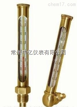 WNY-11銅(tóng)金屬套溫度(dù)計廠家