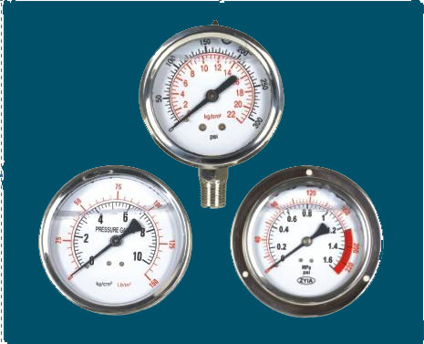 耐震(zhen)壓力表(biǎo)